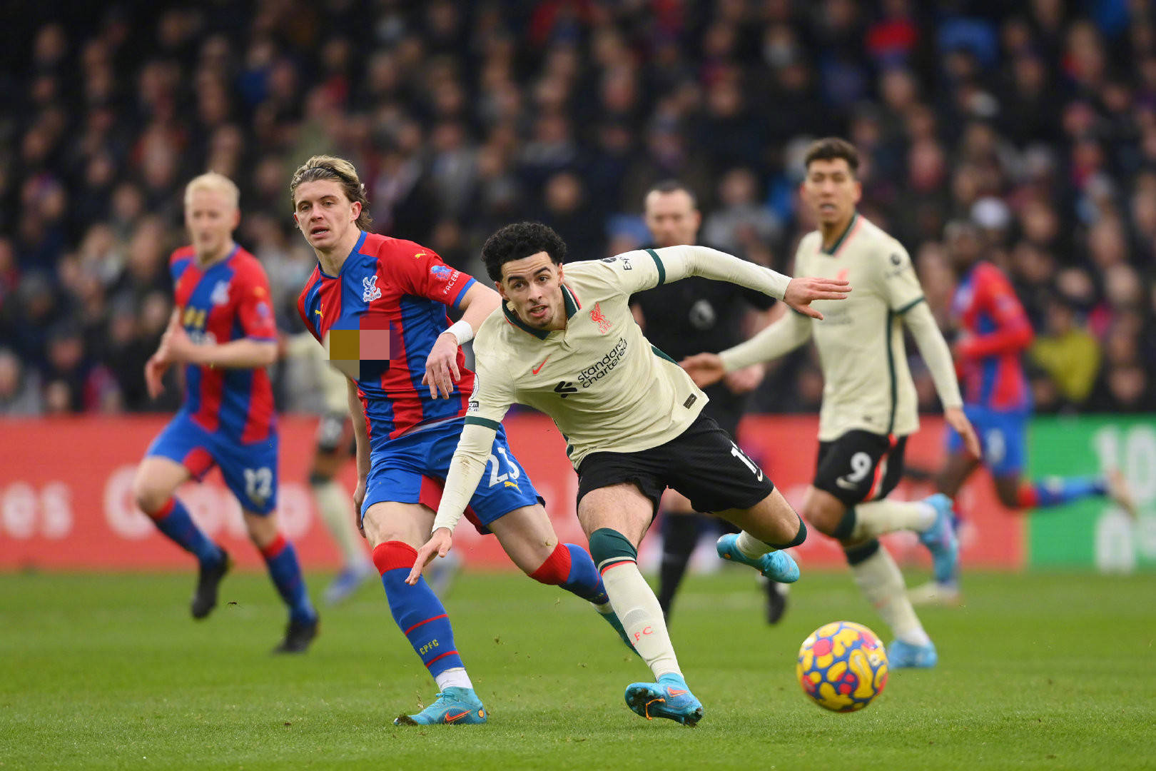 间型四号位 间型四号位